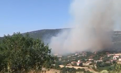 Kepsut’ta Alevler Mahalleye Dayandı! Eyüpbük’te Büyük Yangın!
