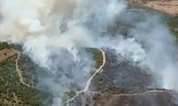 Bigadiç’te Korkutan Yangın! Tarım Arazileri Alevlere Teslim Oldu