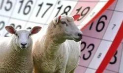 Kurban Bayramı Ne Zaman? 9 Günlük Tatil Fırsatı! Bayram Ne Zaman ve Hangi Günlere Denk Geliyor?