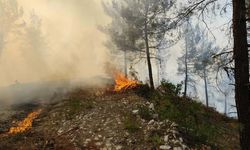 Son Dakika! Balıkesir Dursunbey’de Orman Yangını!