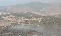 İzmir'de Ormanlık Alanda Yangın!