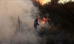 Sındırgı Yanıyor! 4 Helikopter, 2 Uçak, 120 Personel! Balıkesir’de Yangın Alarmı