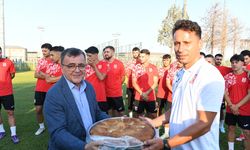 Hakan Şehirli ve BALKES Laforizmaları