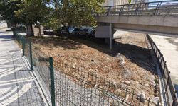Bandırma Caddesi'nde Tehlike ve İhmal Yan Yana: Köprü Altı Alarm Veriyor!