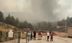 Geyve'de Yangın Büyüyor! D-650 Kara Yolu Trafiğe Kapatıldı