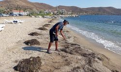 Plajlar Tertemiz Olacak! Marmara Adaları’nda Hummalı Hazırlık