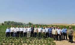 Karesi Şamlı Mahallesi’nde Kapalı Sulama Sistemi Devreye Alındı