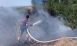 Balıkesir'de Yangın Paniği! Gömeç Alevlere Teslim Oldu!