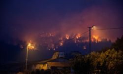 Sakarya'da Orman Yangını Mahalleyi Sardı! Evler Tahliye Edildi!