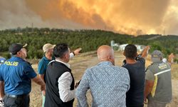 Sakarya Geyve'deki Yangın Bilecik'e Sıçradı! Bilecik Alevlere Teslim Oldu!