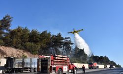 İzmir'de Tırda Başlayan Yangın Ormana Sıçradı! Kemalpaşa Felaketin Eşiğinden Döndü!
