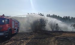 Samsun Ladik'te Biçerdöver Yangını! 40 Dönüm Alan Alevlere Teslim Oldu!