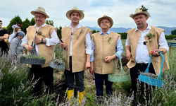 Zeytin Ağacının Gölgesinde Bir Festival: Doğa mı, Tema mı?