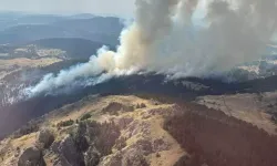 Bir Yangın Haberi de Çankırı'dan Geldi! Yapraklı'da Orman Yangını Çıktı!