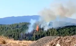 Denizli'de Yangın Paniği! Tavas Felaketin Eşiğinden Döndü!