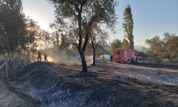 Edremit Cennetayağı'nda Yangın Alarmı! Zeytinlikler ve Mandalinalar Alevlere Teslim