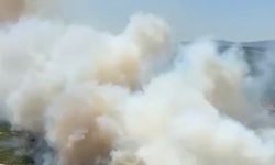 Bigadiç Alev Alev Yandı! Balıkesir Bigadiç'te Tarım Arazisinde Yangın! Tarım Arazisi Kül Oldu!