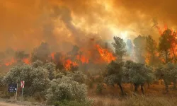 Eskişehir'de 10 Kahramanın Şehit Olduğu Yangına İlişkin Soruşturma Başlatıldı!