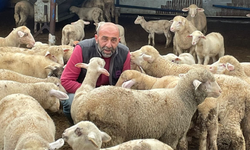 Şap Hastalığı Hakkında Kritik Uyarı: “İnsana Bulaşma Riski Yok”