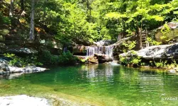 Kaz Dağları: Şifa, Kültür ve Turizmin Buluştuğu Zirve