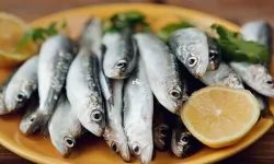 Ne Levrek, Ne Çipura Ne de Somon... Keramet O Balıktaymış! D Vitamini ve Omega-3 Deposu...