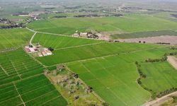 Balıkesir'deki Bu 3 Mahallede Tarlalar Baştan Düzenlenecek! İşte Yeni Tarım Projesi
