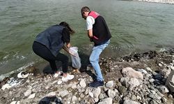 Balıkesir’de Sulara Can Geldi! Balık Popülasyonunu Artırmak İçin Binlerce Balık Doğaya Salındı