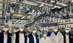 Balıkesir Kanatlı Hayvan Üretiminde Türkiye İkincisi! Üretimde Büyük Başarı