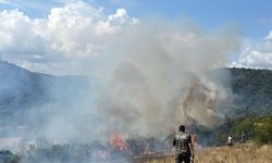 Kırklareli'de Korkutan Orman Yangını! Felaketin Eşiğinden Döndüldü!