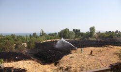 Bitlis'te Yangın Paniği! Mezarlıkta Yangın Çıktı!