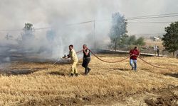 Karabük'te Yangın Paniği! Anız Yangınında 200 Dönümlük Alan Küle Döndü!