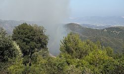 Bir Yangın Haberi de Hatay'dan Geldi! Hatay Facianın Eşiğinden Döndü!