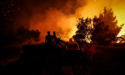 Çanakkale 2 Gündür Yanıyor! Bayramiç'teki Orman Yangınına Müdahaleler Devam Ediyor!