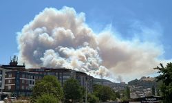 Bir Yangın Haberi de Manisa'dan Geldi! Soma'da Orman Yangını Çıktı!