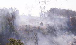 Çanakkale'deki Orman Yangını Kontrol Altına Alındı, Soğutma Çalışmaları Devam Ediyor!