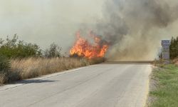 Çanakkale'de Bir Yangın Daha! Çan İlçesi Felaketin Eşiğinden Döndü! 50 Dönüm Alan Küle Döndü!