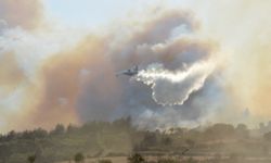 Çanakkale Gelibolu'da Çıkan Orman Yangını Alevlendi! Müdahaleler Devam Ediyor!
