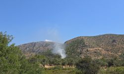 Muğla'da Korkutan Yangın! Bodrum'da Alevler Ormana Sıçramadan Söndürüldü!