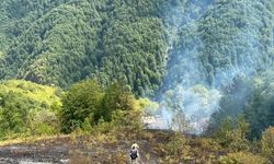 Kastamonu'da Yangın Felaketi Önlendi! Yangın Evde Başladı, Ormana Sıçradı!