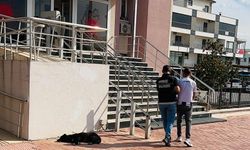 Ayvalık’ta Uyuşturucu Operasyonu: 265 Sentetik Hap Ele Geçirildi, 1 Şüpheli Tutuklandı