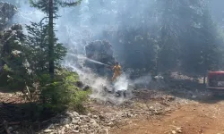 Çanakkale’de Orman Yangını! Alevler Rüzgarla Yayılıyor