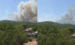 Çanakkale Gelibolu'da Orman Yangını Çıktı!