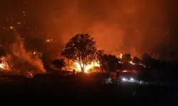 Çanakkale Gelibolu'da Orman Yangını: 126 Kişi Tahliye Edildi!
