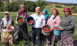 Canbey Tarlada, Sokakta, Evde: “Her Daim Sahada”