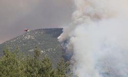 Denizli Yanıyor! Pamukkale'de Orman Yangını Paniği!