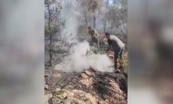 Bir Yangın Haberi de Denizli'den Geldi! Denizli Acıpayam'da Orman Yangını Çıktı!