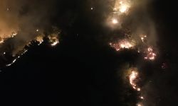 Hatay Hassa’da Orman Yangını: Alevlerle Karadan Yoğun Mücadele Sürüyor!