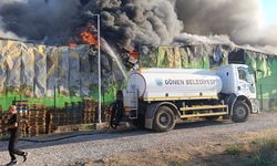 Gönen Teksüt Fabrikasında Yangın!