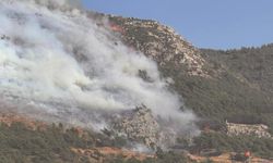 Hatay Yanıyor! Antakya'da Orman Yangını Çıktı!