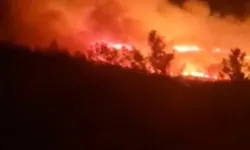 İzmir Urla'da Orman Yangını! Alevler Urla'yı Sardı!